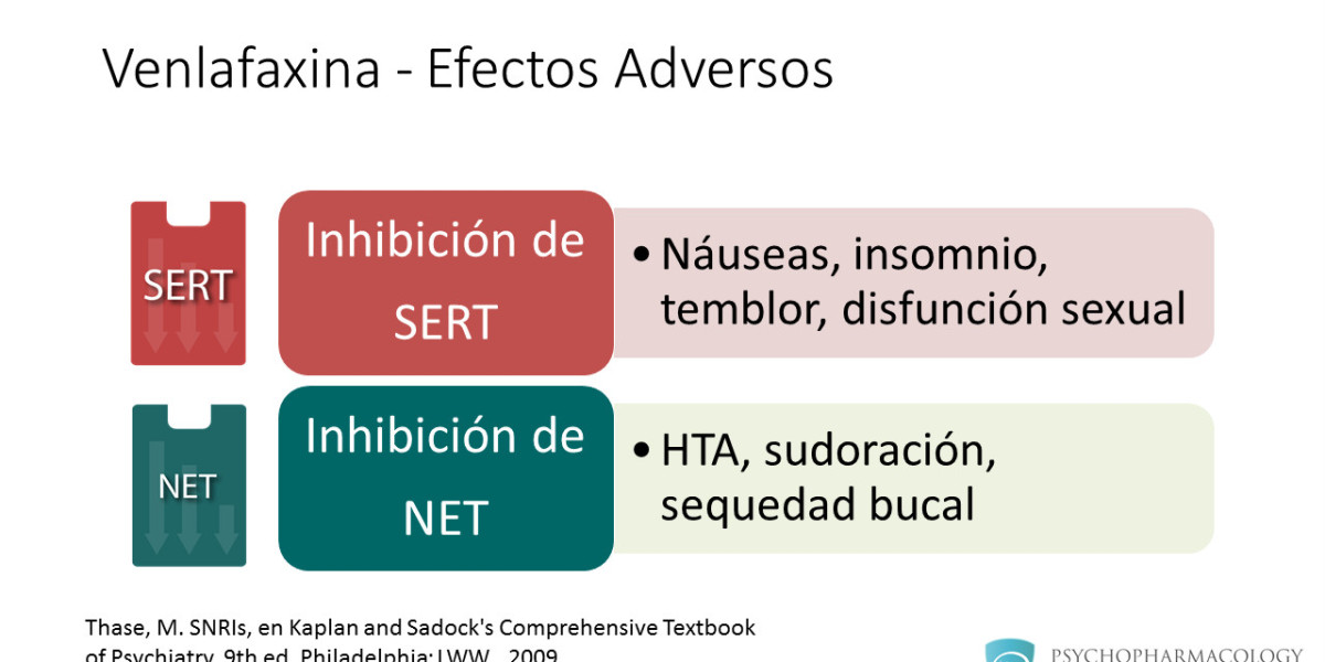 Venlafaxina: Un Tratamiento Eficaz para la Ansiedad Información y Consejos de Psicología