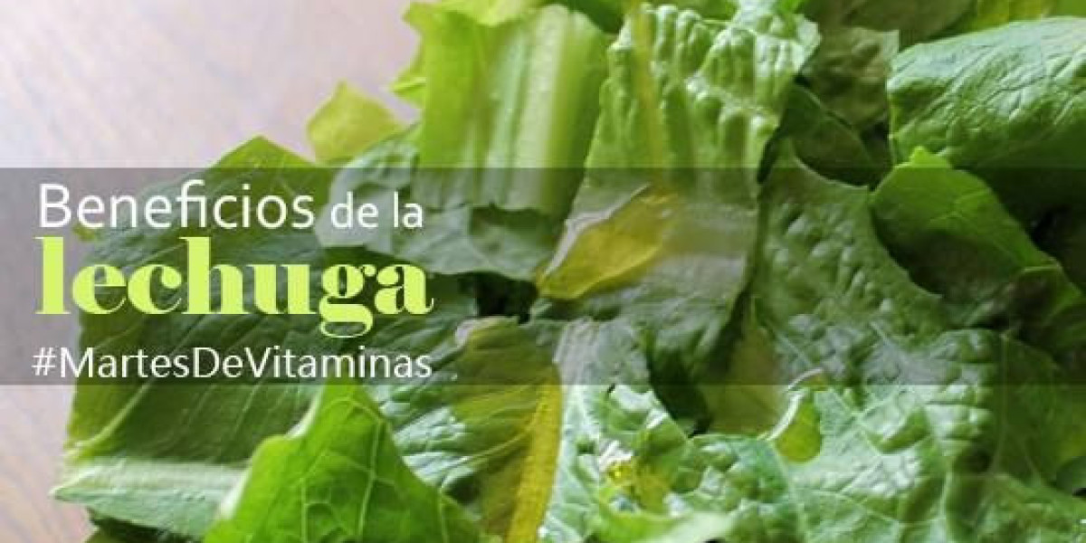 La guía definitiva sobre cómo tomar las vitaminas B12 correctamente: consejos y beneficios