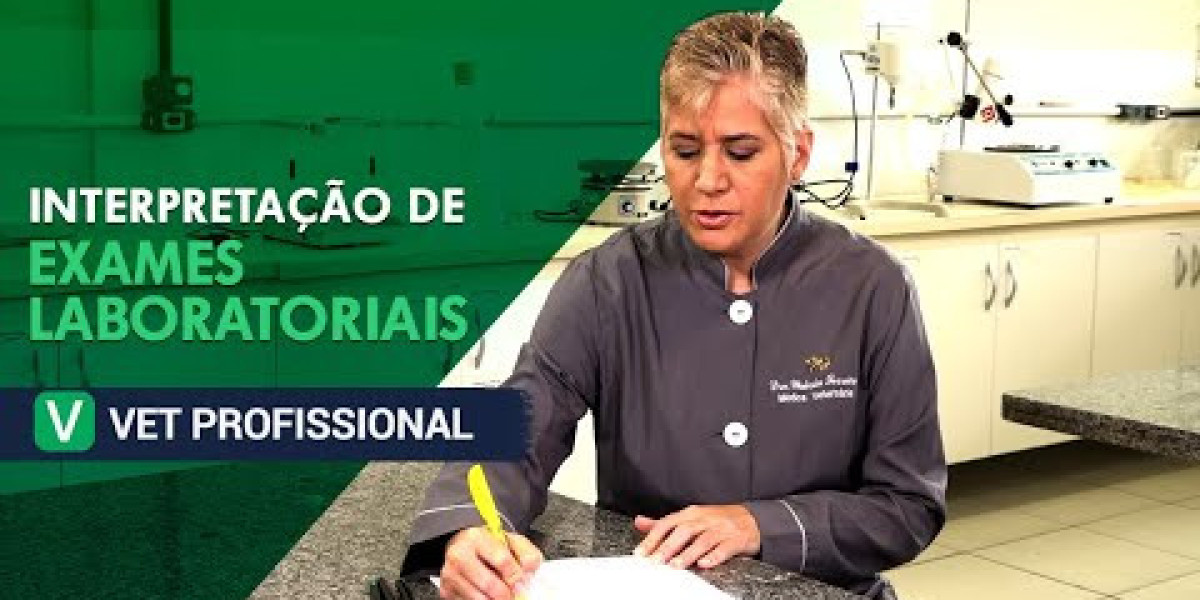 Ecodopplercardiograma em Cães: Entenda os Custos e Benefícios para a Saúde do Seu Amigo Peludo