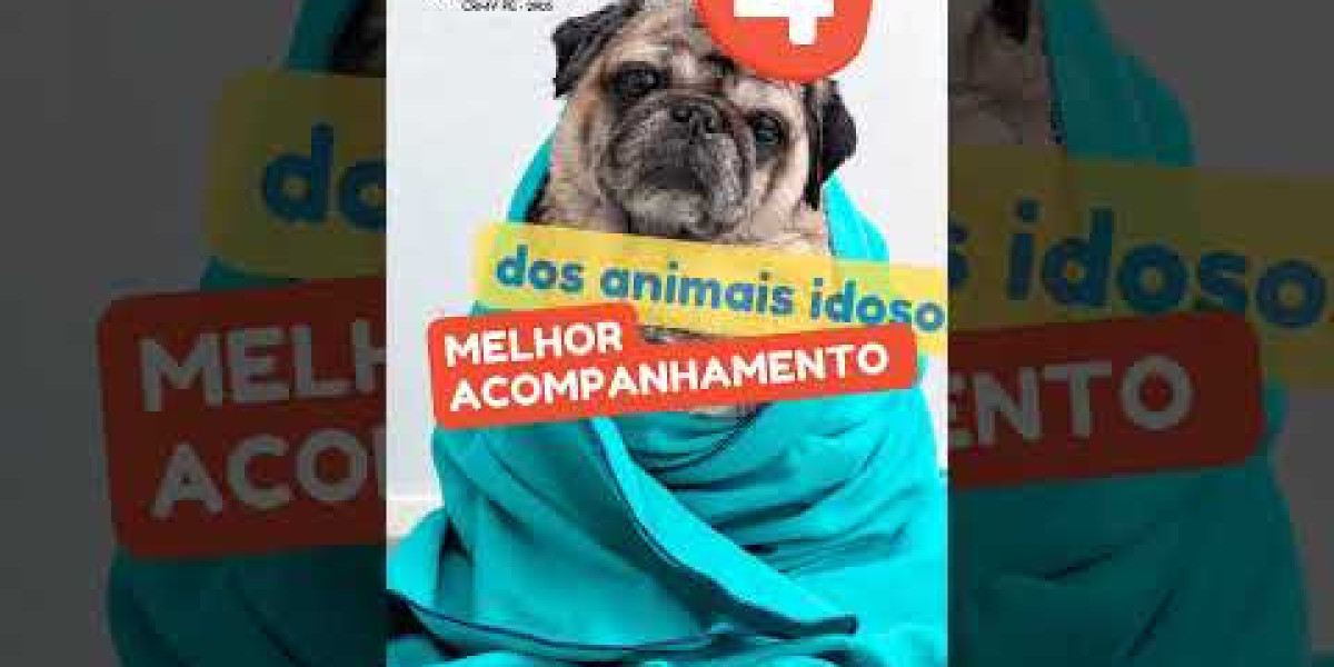 Descubra as Fascinantes Especialidades da Medicina Veterinária: O Guia Completo para Cuidar dos Nossos Amigos Peludos