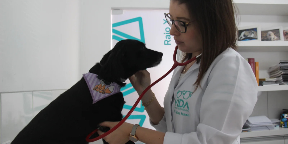 Sound's Veterinary Digital Radiography Portfolio Fixed and Mobile