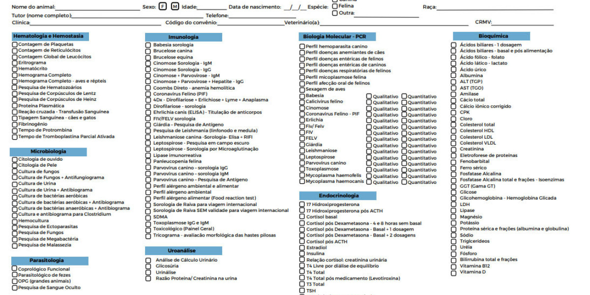 Fine-Tuning X-ray Settings: Achieving Diagnostic Images in Veterinary Radiography