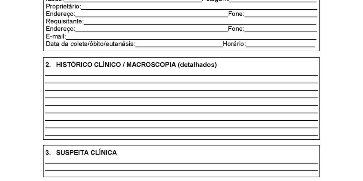 Diagnóstico Por Imágenes Para Felinos Ultrasonido, RMN, Rayos X, Radiología