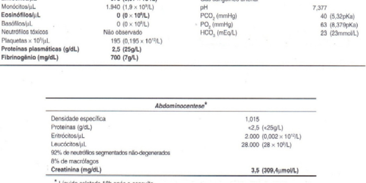 Riesgos de la insuficiencia cardíaca en mascotas Actualizado agosto 2024