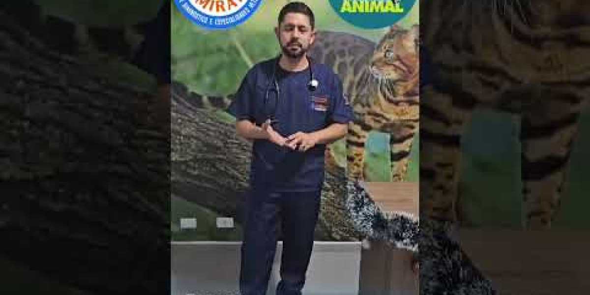 ¿Cuánto cobra un veterinario en España y cuál es su sueldo según convenio? AS com