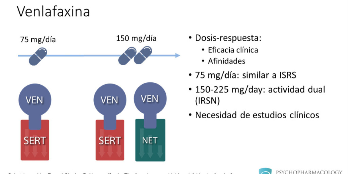 Venlafaxina y su Impacto en la Vida Sexual: Lo Que Necesitas Saber